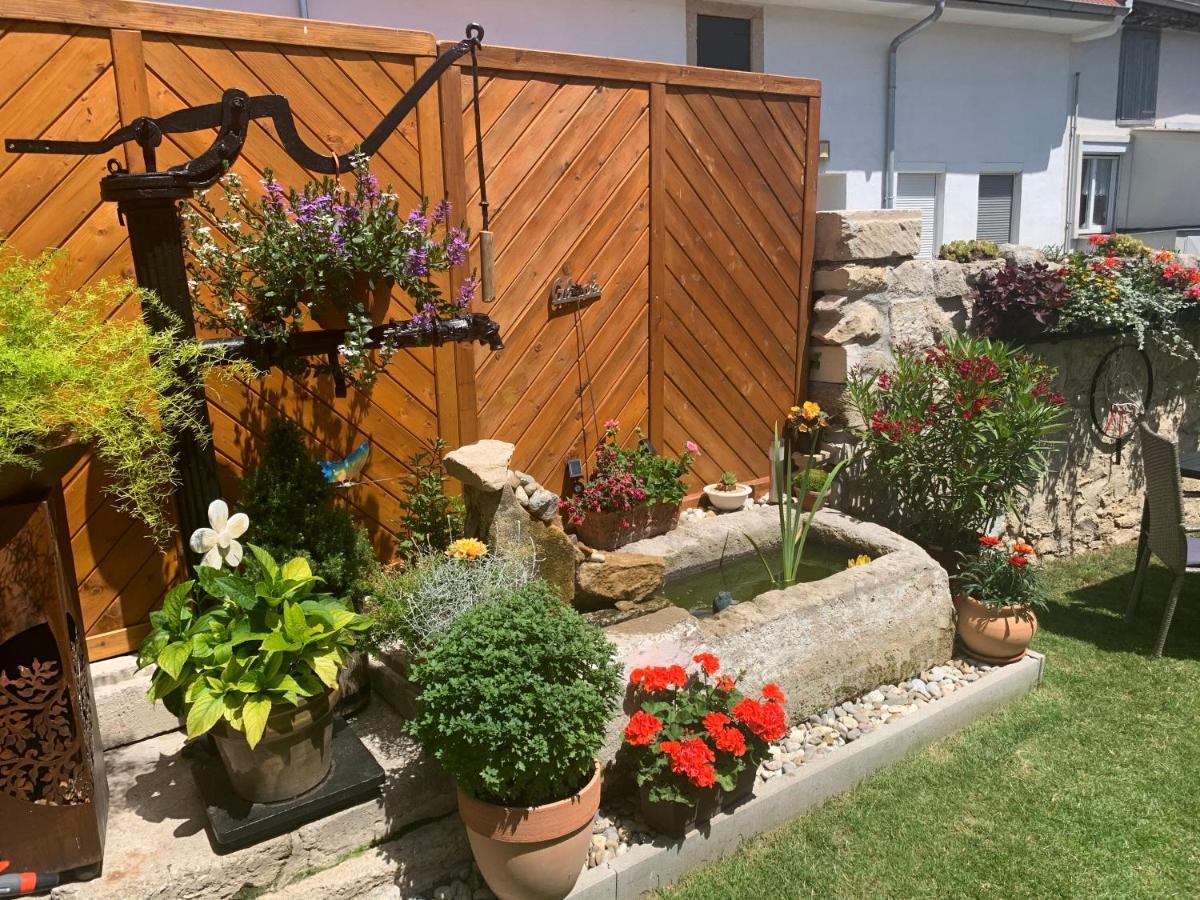 Ferienwohnungen Zum Briefmarkenhaus Mörbisch am See Εξωτερικό φωτογραφία